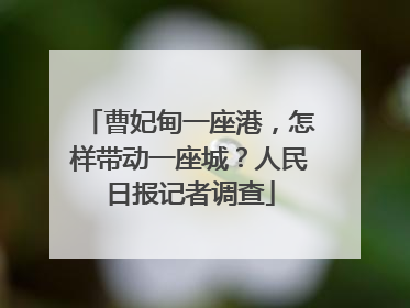 曹妃甸一座港，怎样带动一座城？人民日报记者调查